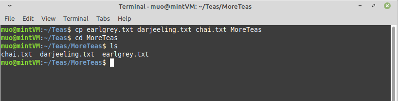 Копирование нескольких файлов с помощью cp