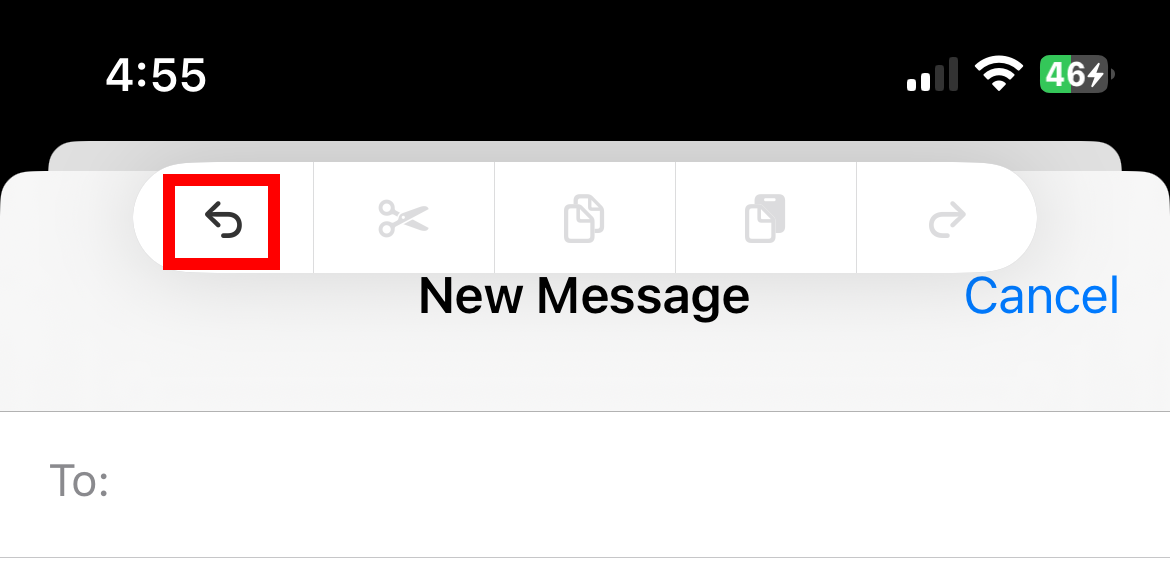 Кнопка 'Отменить' на панели форматирования, появившейся после трёхпальцевого касания