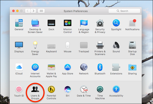 Окно Системных настроек — раздел Пользователи и группы со списком учётных записей
