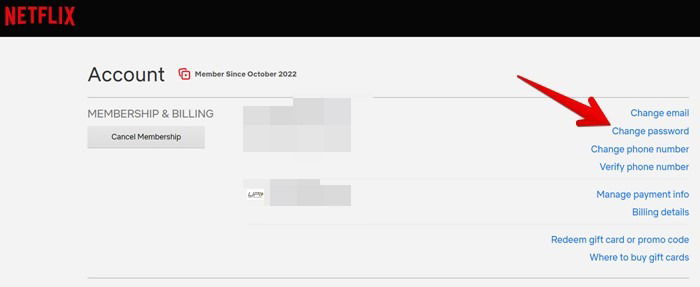Форма смены пароля в Netflix