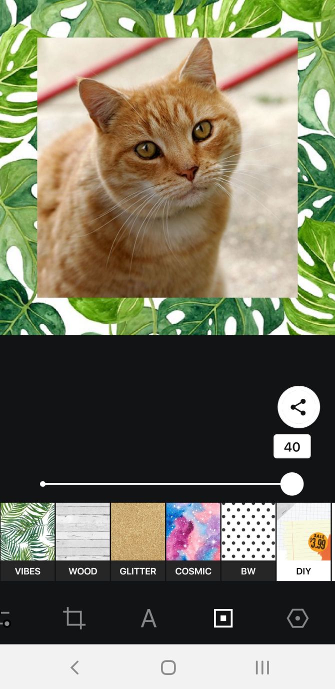 Instasize рамка природа