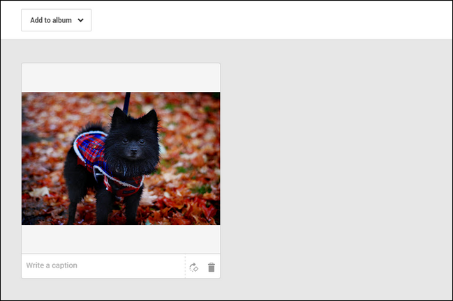 Настройка обоев Chromecast — фото, погода, новости