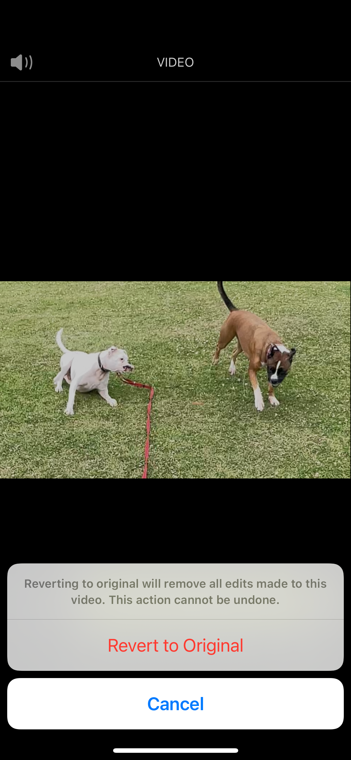 screenshot showing how to undo changes made on an iPhone video showing revert to original button