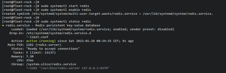 Проверка Redis