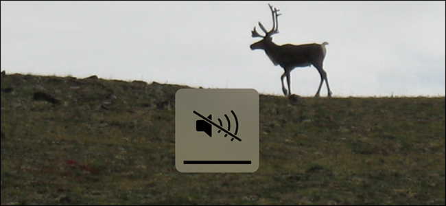 AutoVolume — отключайте звук Mac при закрытии крышки