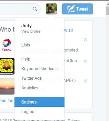 Настройки профиля Twitter — доступ к параметрам