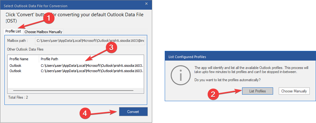 Liste des profils Outlook trouvés automatiquement et option de conversion