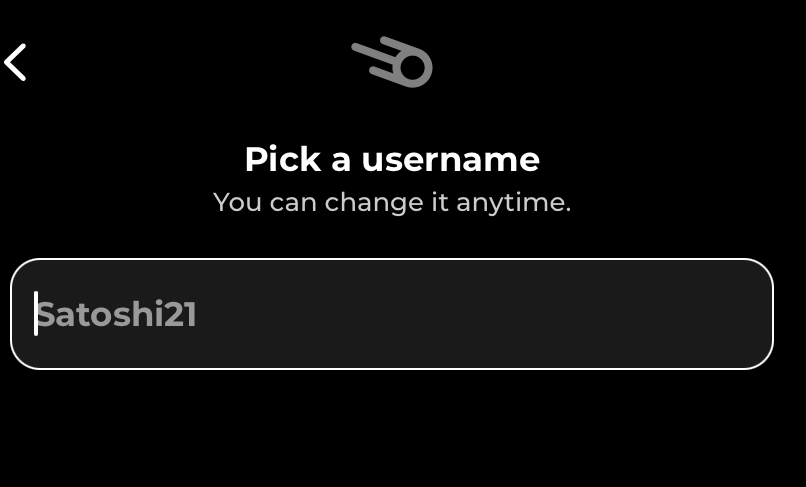 Поле для ввода имени пользователя (username).