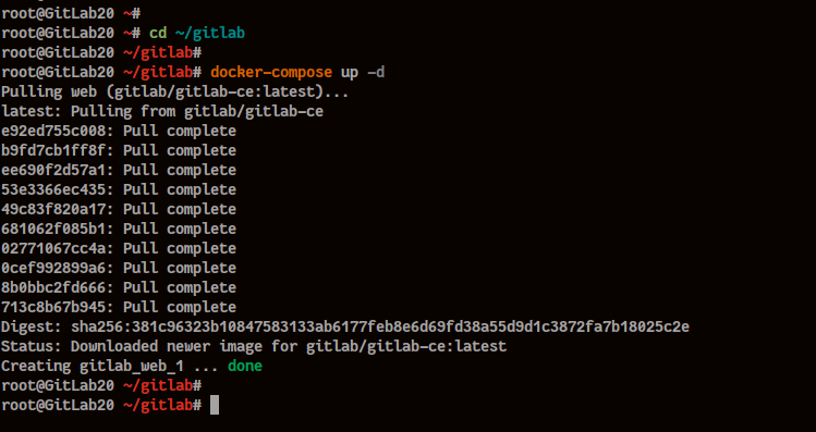 Вывод при создании Docker контейнера для GitLab