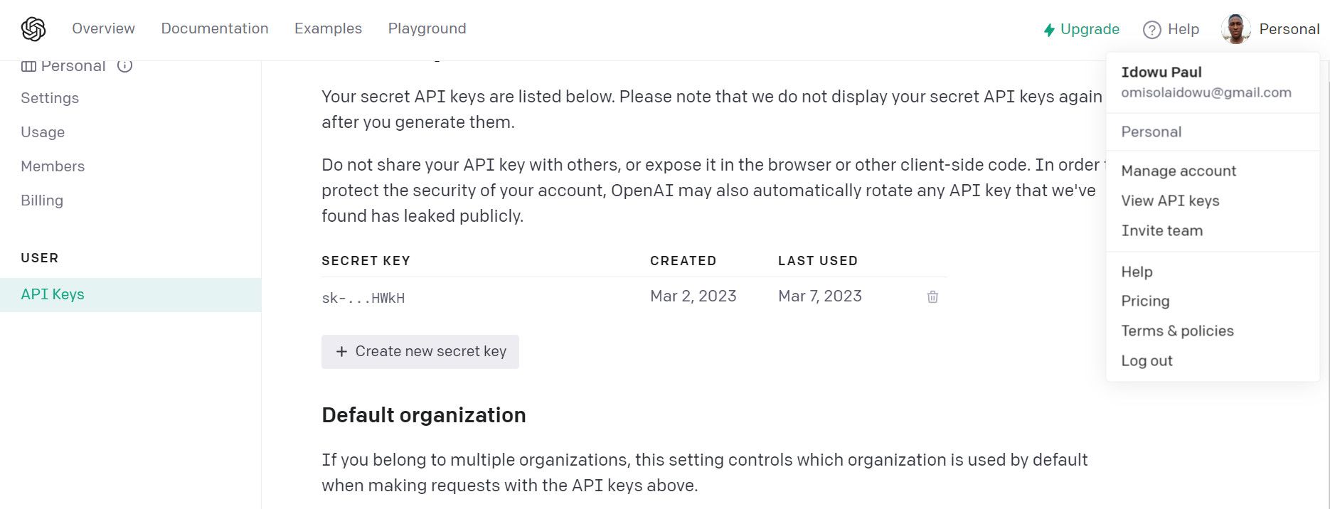 Страница документации OpenAI в интерфейсе