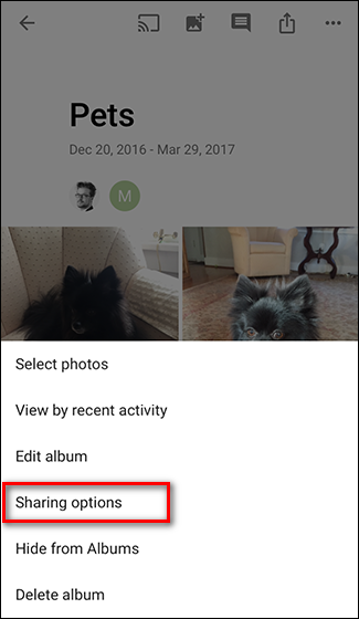 Экран настроек общего доступа с переключателями и списком приглашённых