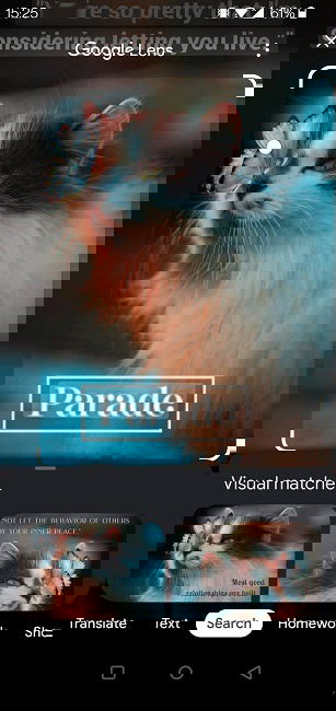 Perform Reverse Image Search Android Chrome Results