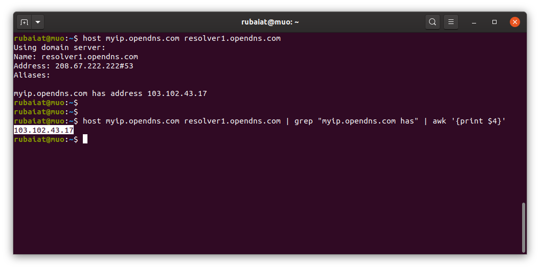Скриншот: получение публичного IP в Linux с помощью host