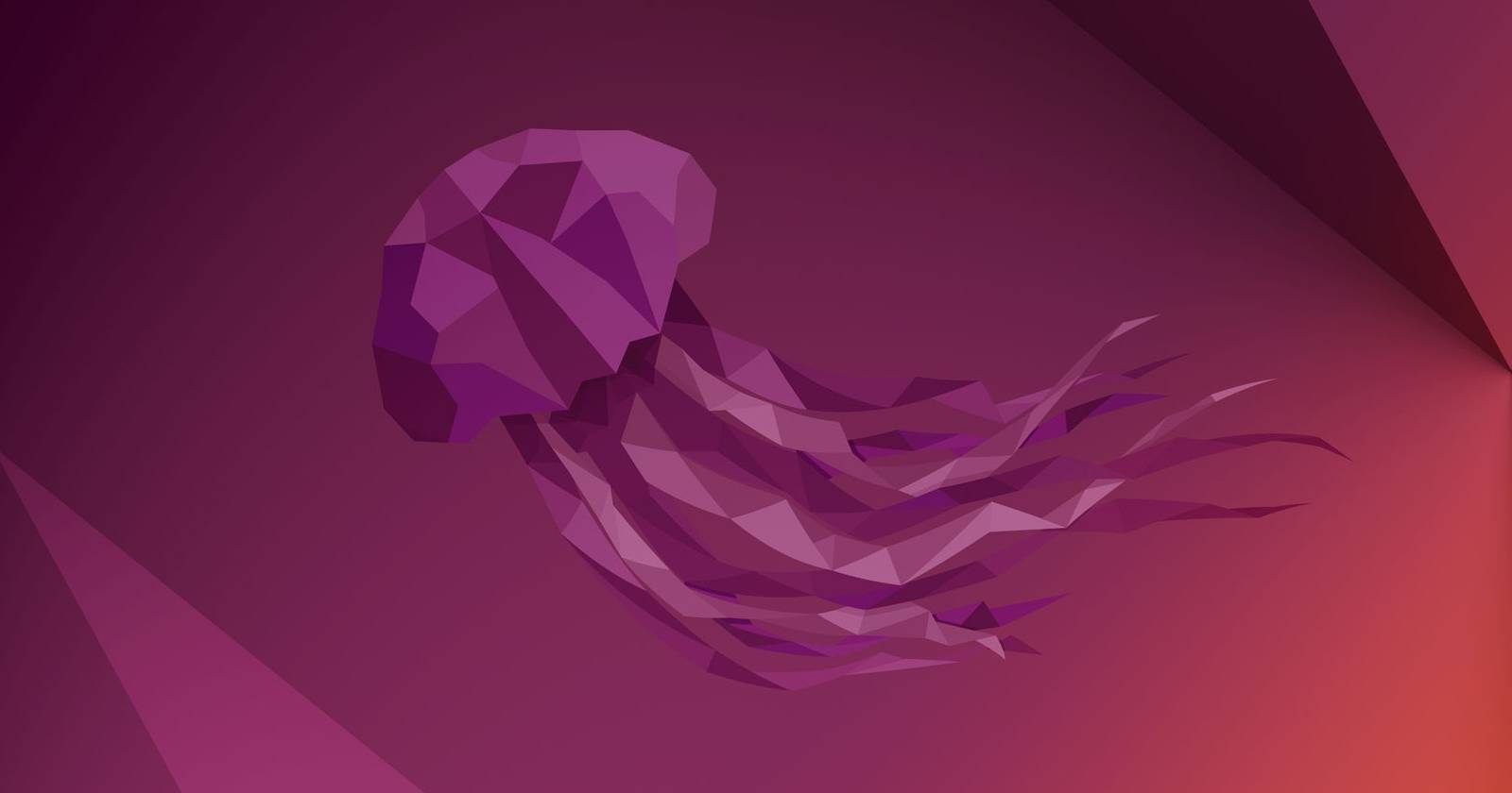 Установка Ubuntu на ПК — пошагово