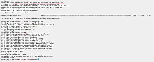 Foreman: подключение Puppet‑агентов и тестирование