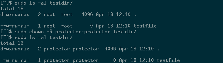 Вывод команды chown, показ изменения владельца папки