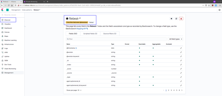 Datos de Filebeat en Discover