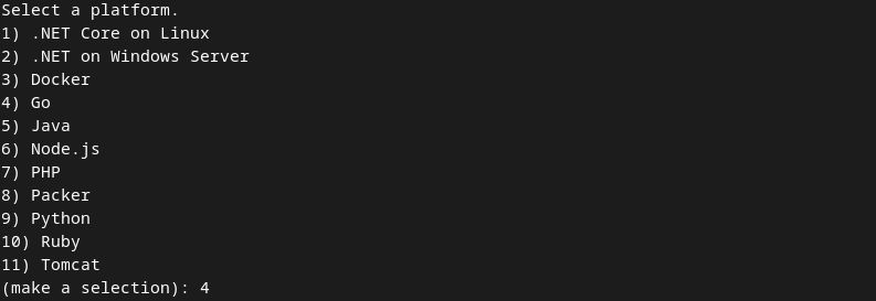 Выбор платформы Go в настройке Elastic Beanstalk