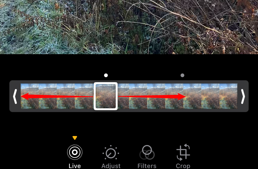 Проведите по шкале, чтобы выбрать кадр