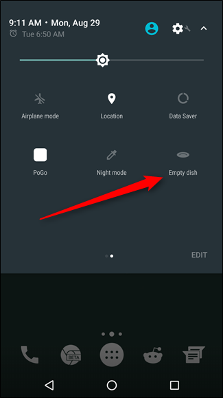 Выбор еды для кошки