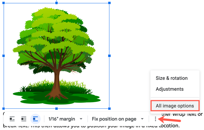 Нажмите три точки и выберите All Image Options