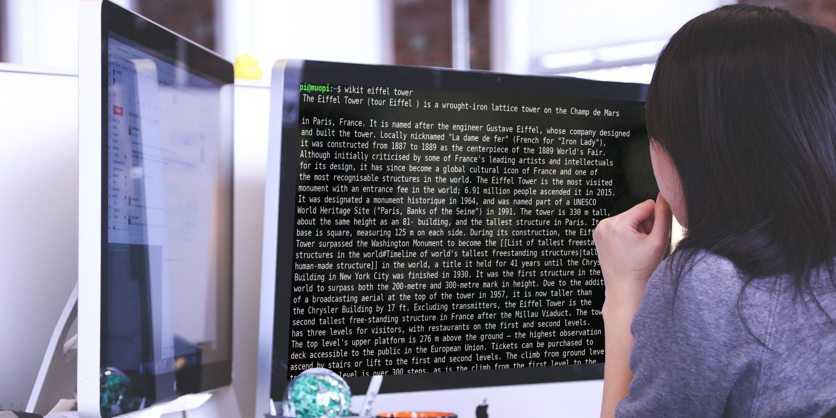 Читать Wikipedia в терминале с wikit