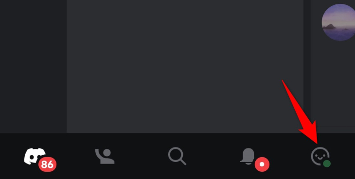 Экран профиля в мобильном приложении Discord
