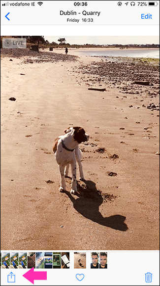 Значок «Поделиться» в интерфейсе Фото для Live Photo