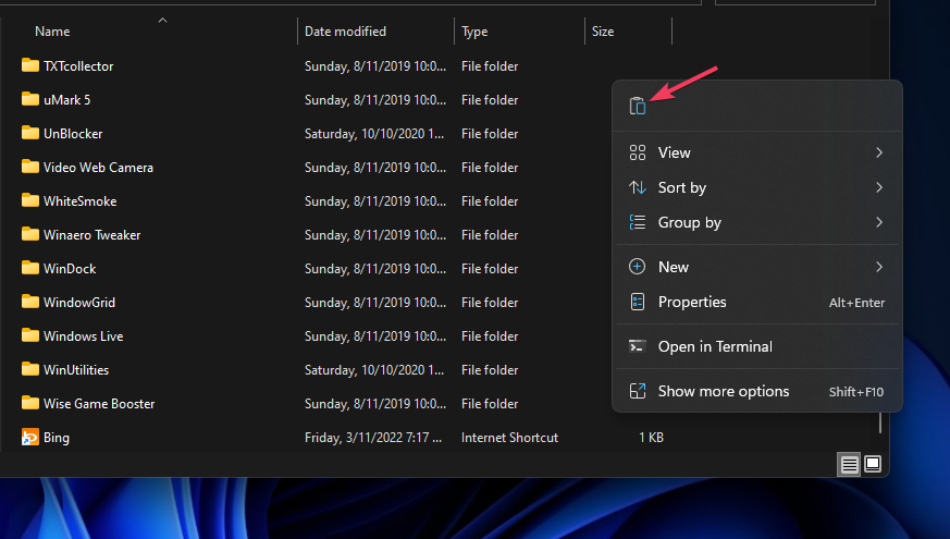 Копирование api-ms-win-crt-runtime-l1-1-0.dll