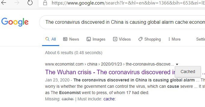 Скриншот: пример кэшированной страницы