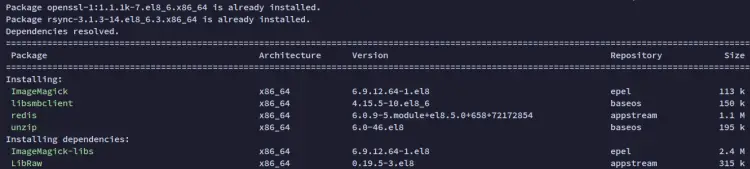 Установка зависимостей — вывод терминала