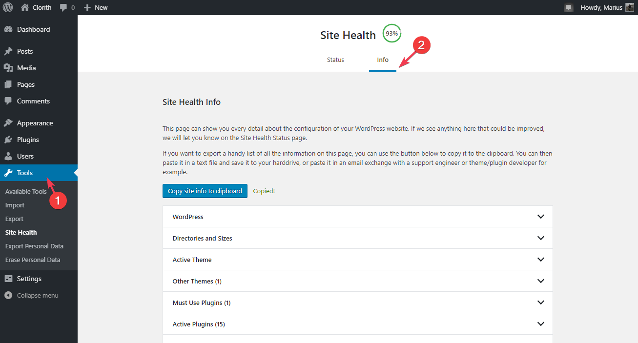 Sezione Info in Site Health per verificare limiti server