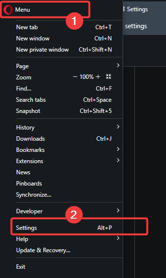 Меню Opera с выбором Настроек