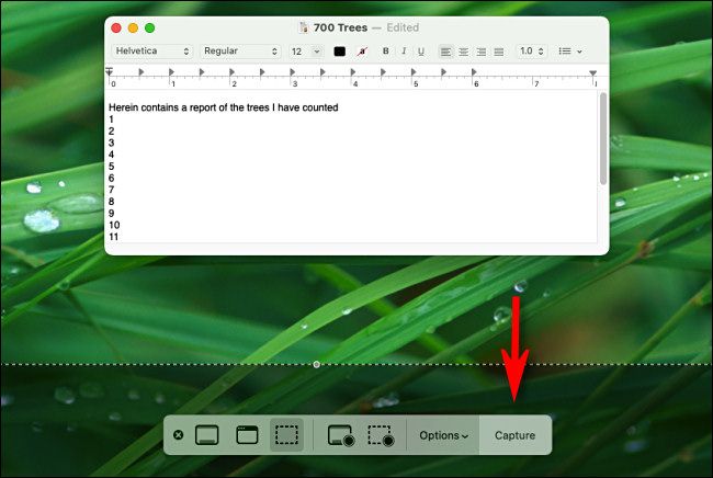 В приложении «Снимок экрана» нажмите кнопку «Снимок».