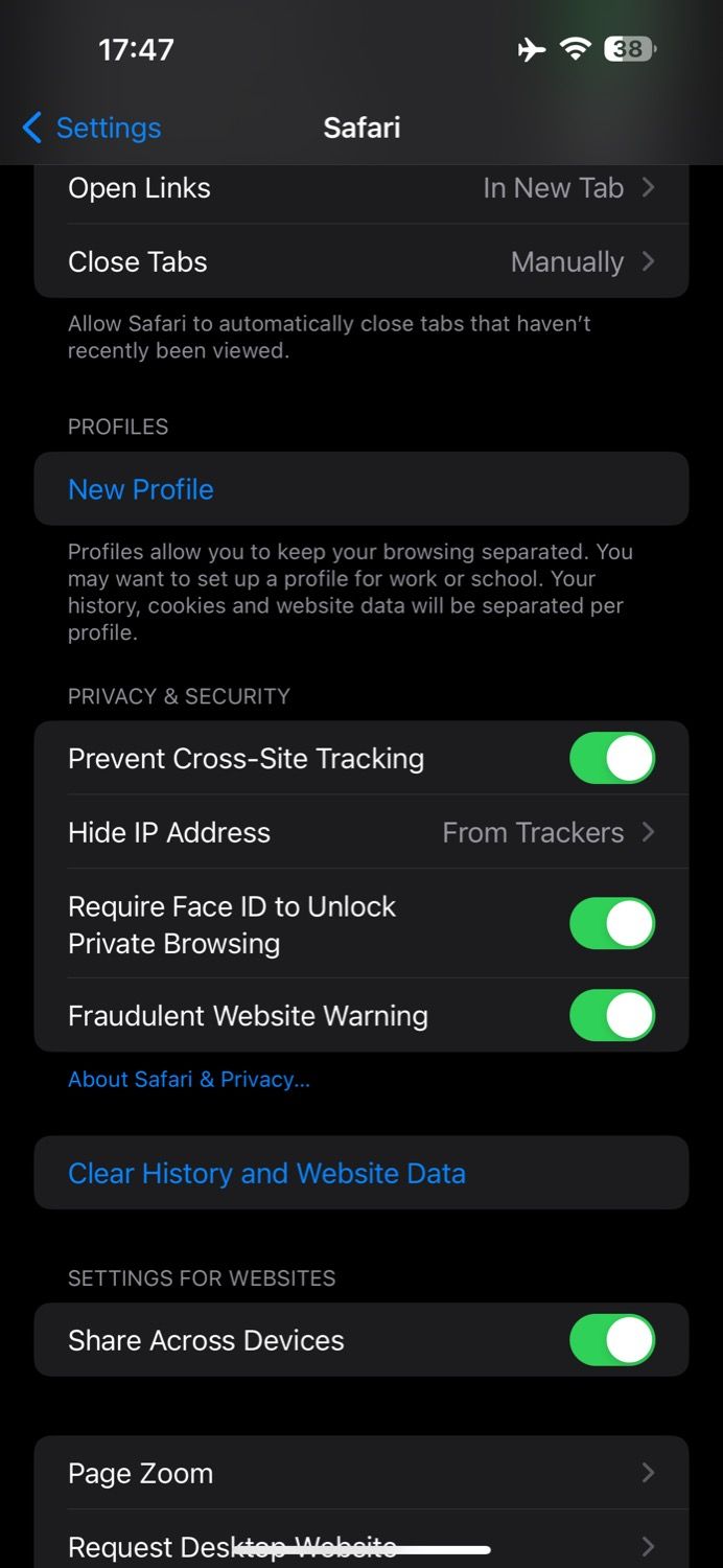 Опция «Новый профиль» в настройках Safari