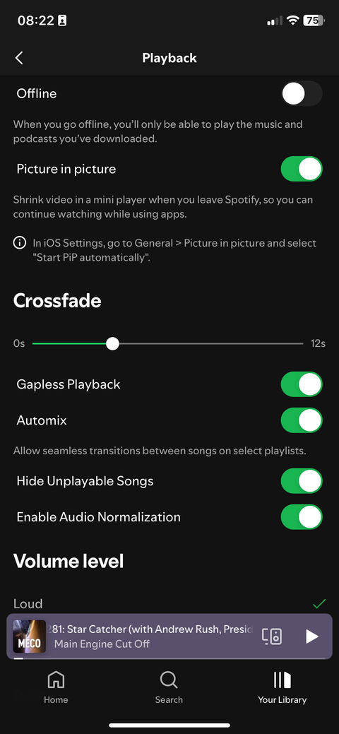 The Spotify app on an iPhone, where the general playback settings are open