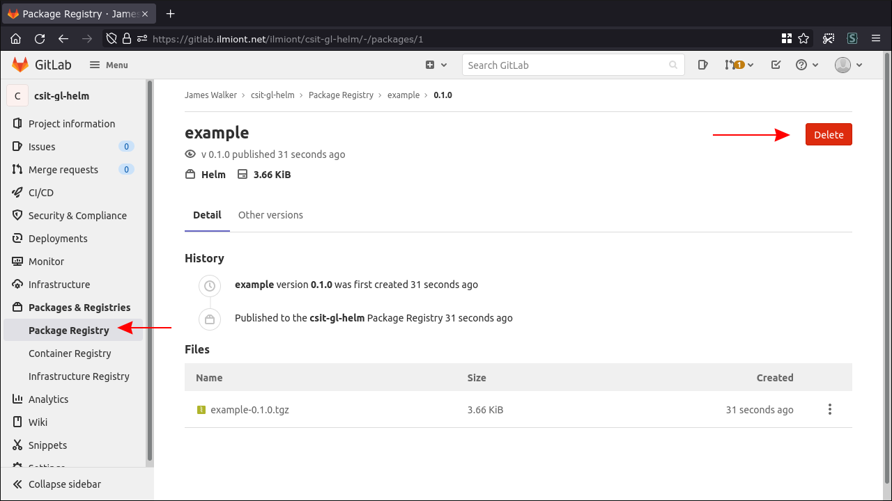 Скриншот: интерфейс реестра Helm-чартов в GitLab