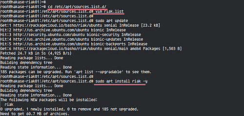 Процесс установки Riak на Ubuntu