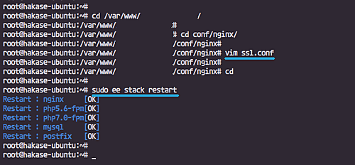 Конфигурация SSL завершена