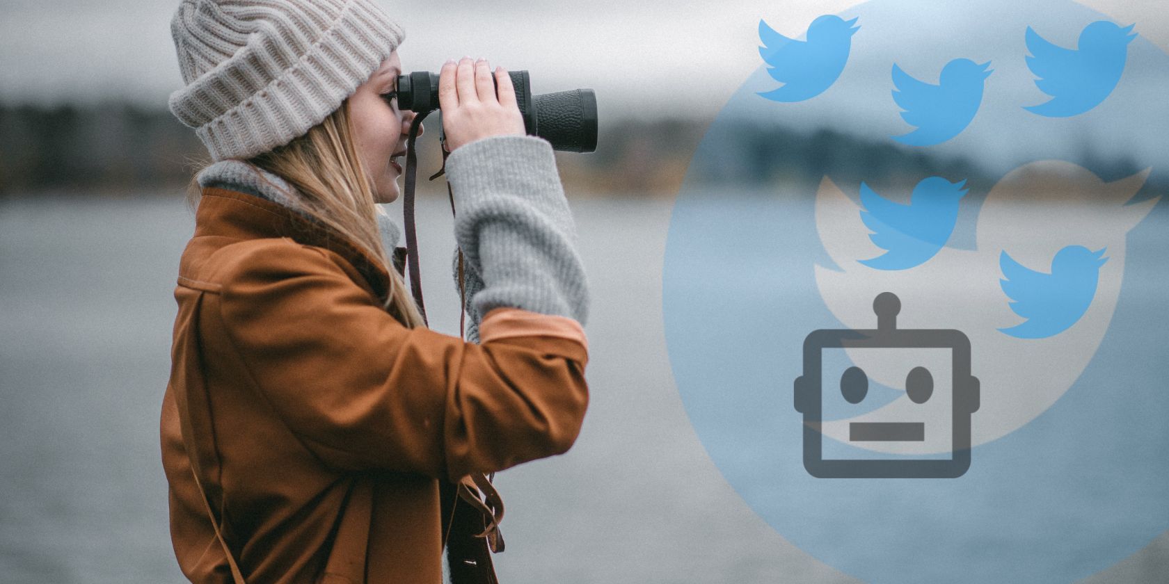 Как выявить ботов в Twitter