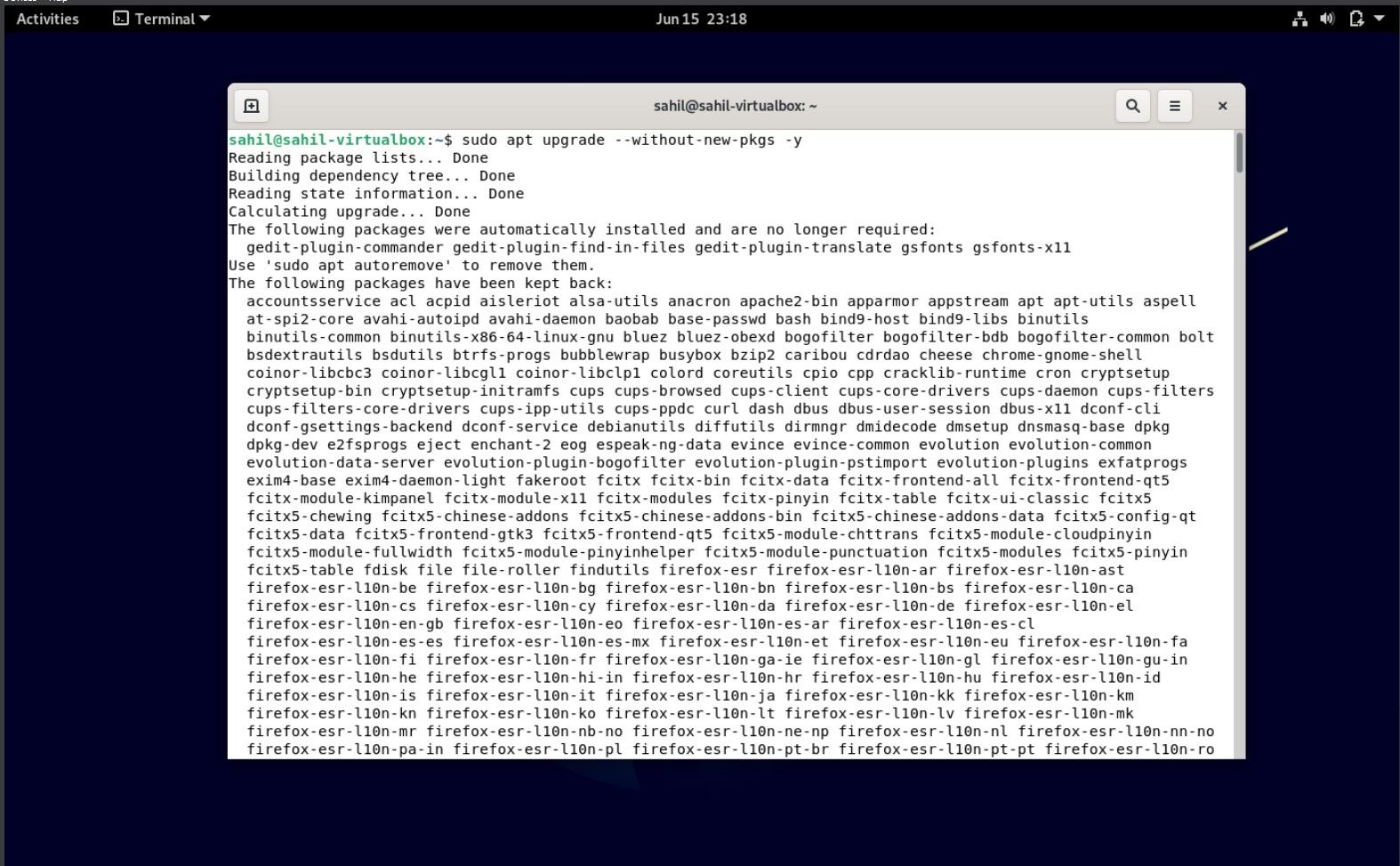 Терминал Debian с фрагментами команд