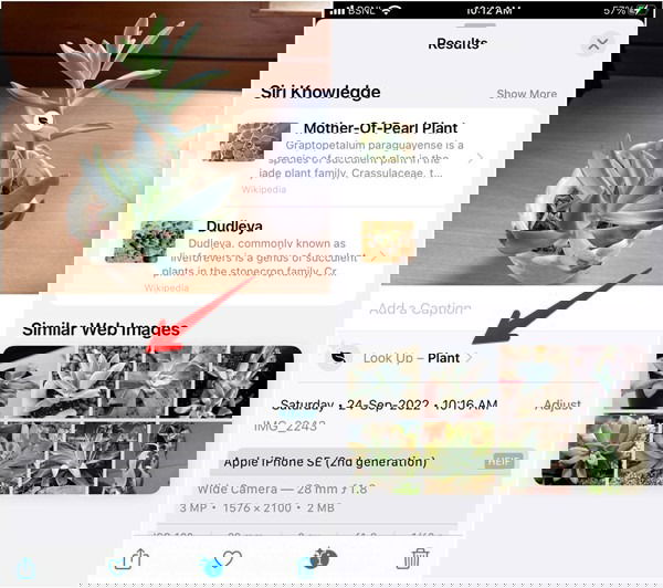 Результаты Visual Look Up