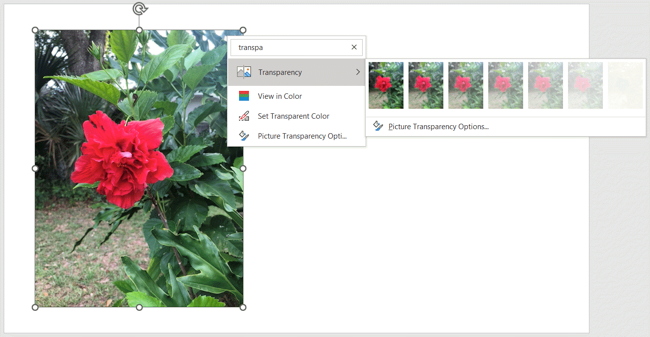 Поиск параметра Прозрачность в PowerPoint