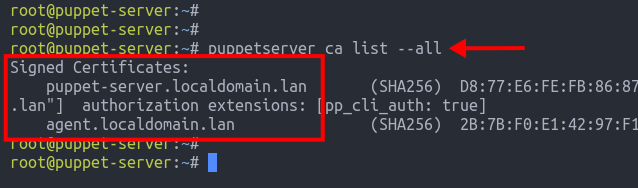 Вывод списка подписанных сертификатов на Puppet Server