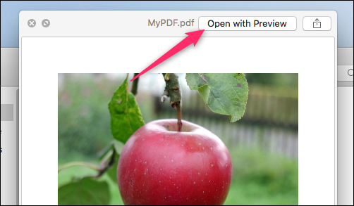 Открытие PDF в Preview на macOS