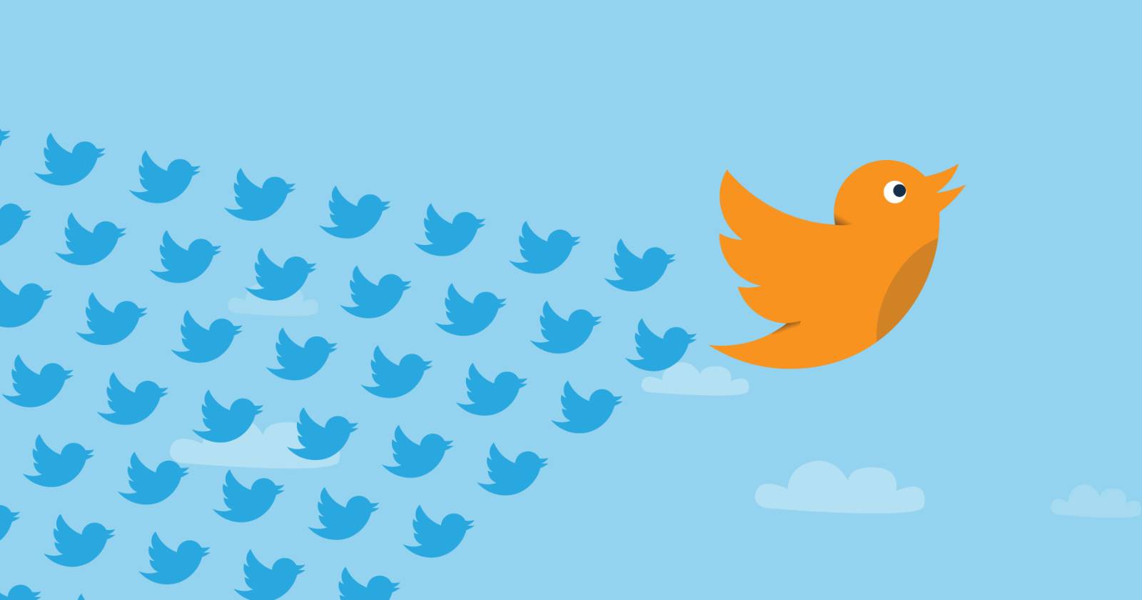 Пользователь просматривает списки в Twitter на экране ноутбука