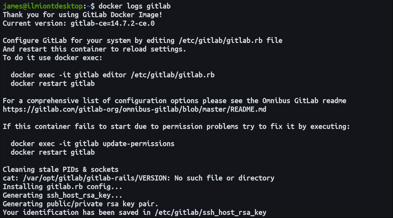Скриншот начальных логов контейнера GitLab при запуске в Docker