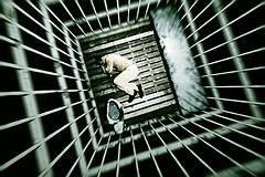 Джейлбрейк iPhone через JailbreakMe