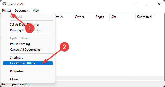 Параметр «Использовать принтер в автономном режиме»