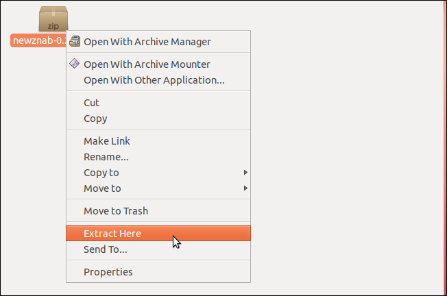Распаковка архива NewzNab